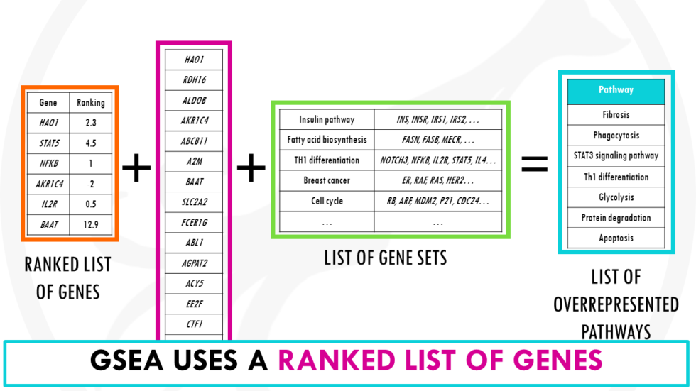 Gene Set Module Score Gene Set Enrichment Analysis (GSEA) – simply explained! - biostatsquid.com