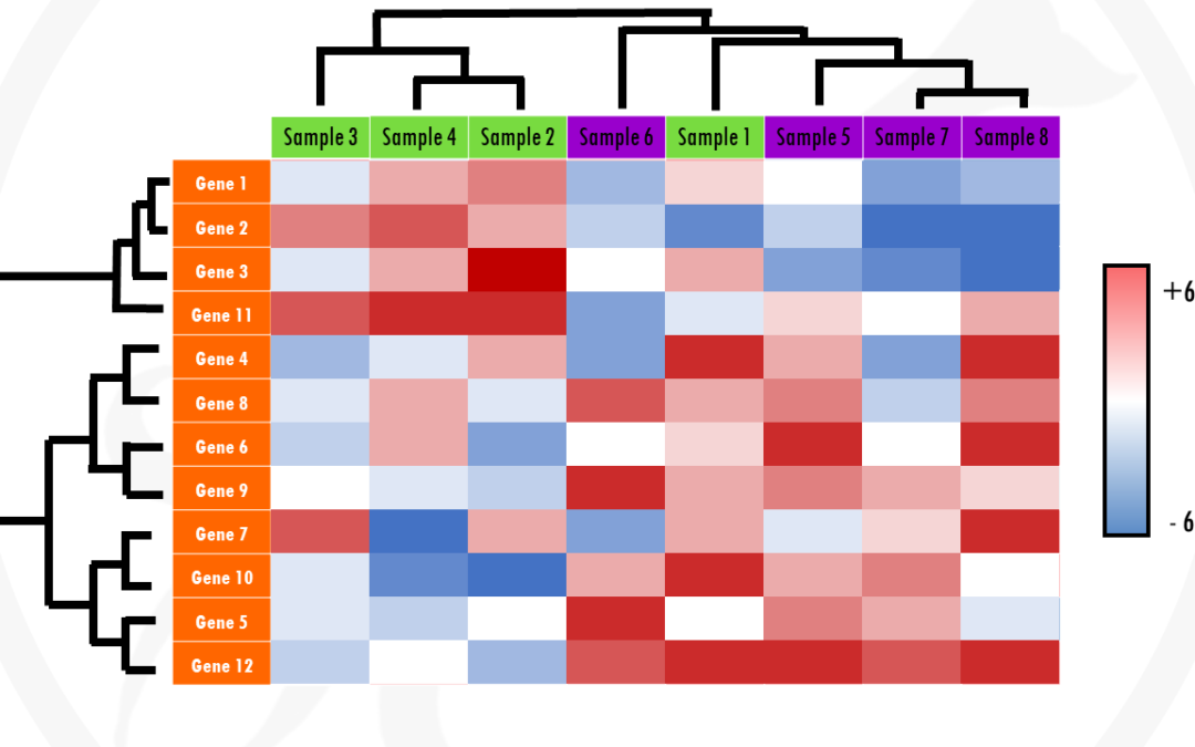 Heatmaps for gene expression analysis – simple explanation with an example