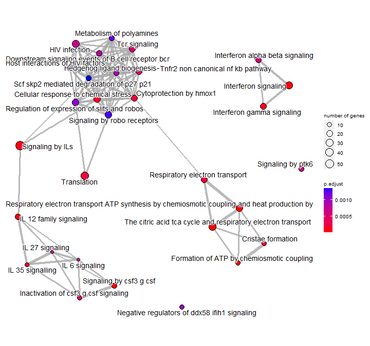 Pathway Enrichment Analysis with clusterProfiler