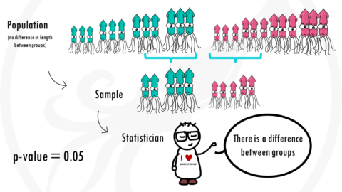 Easy confidence intervals and p-values - biostatsquid.com