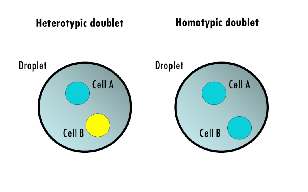 Easy scDblFinder tutorial: doublet detection in R