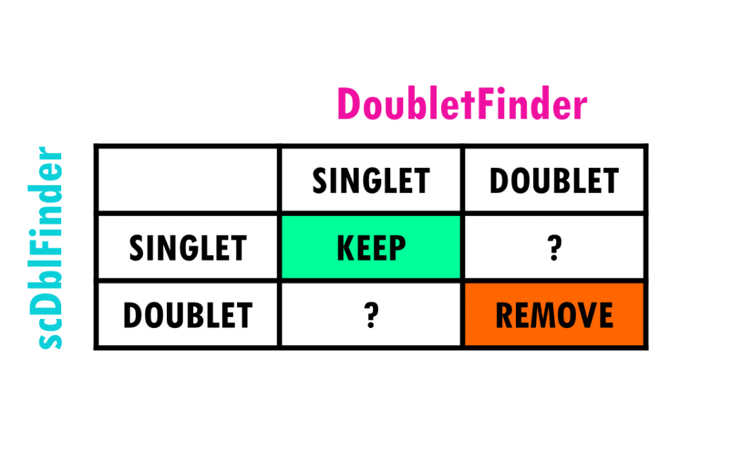 How to remove doublets from scRNAseq data