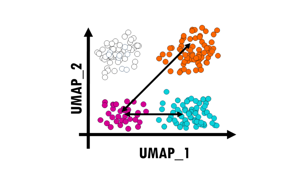 PCA vs UMAP vs t-SNE - biostatsquid.com
