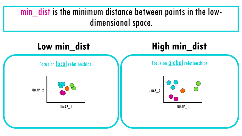 Easy UMAP – explained with an example - biostatsquid.com