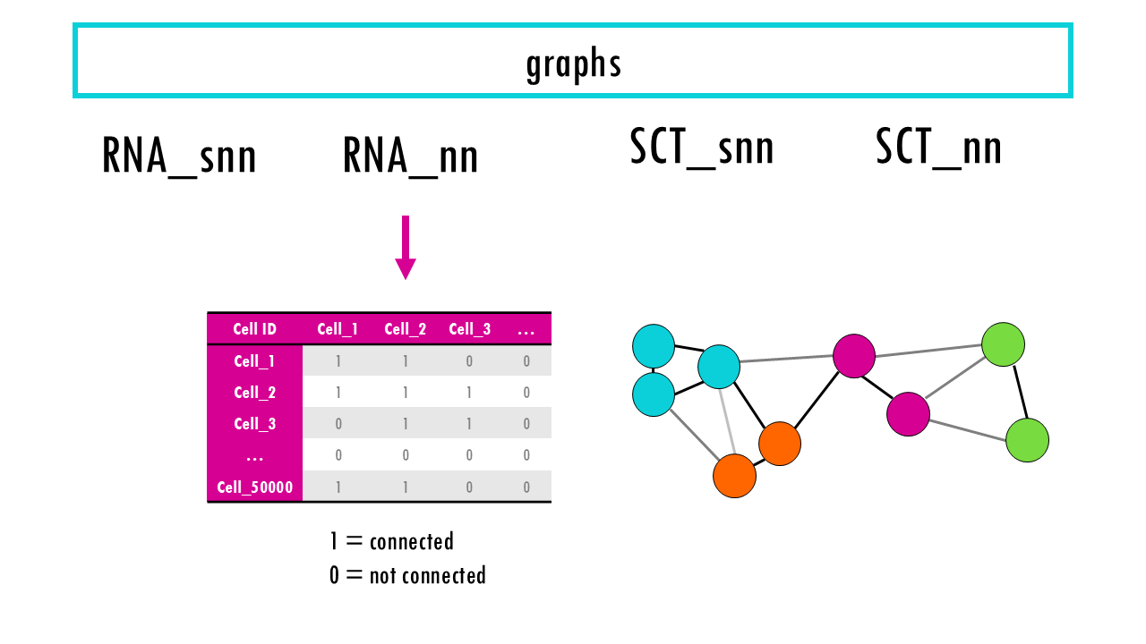Slide51