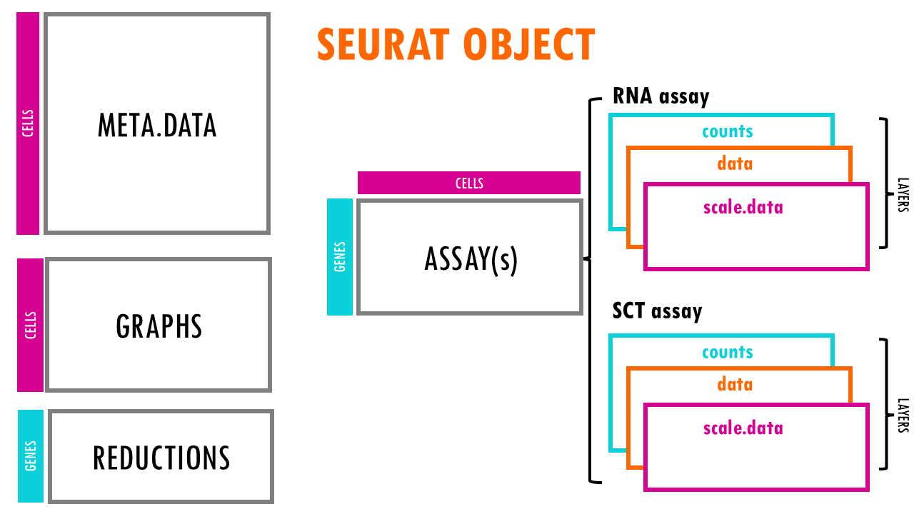 Slide55