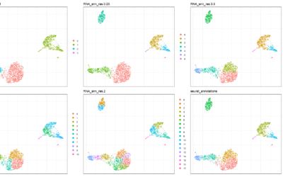 Introduction to single-cell analysis with Seurat v5