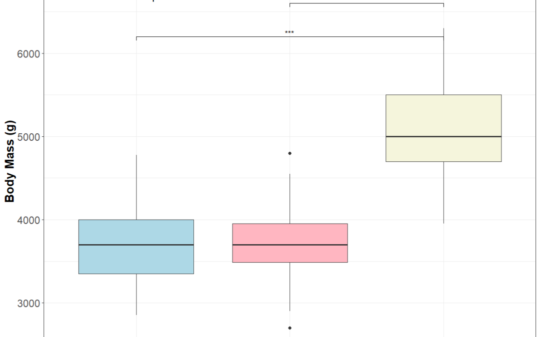 Comparing multiple groups: Kruskal-Wallis test in R