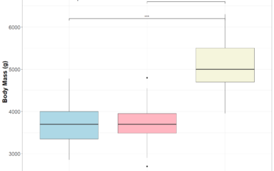 Comparing multiple groups: Kruskal-Wallis test in R