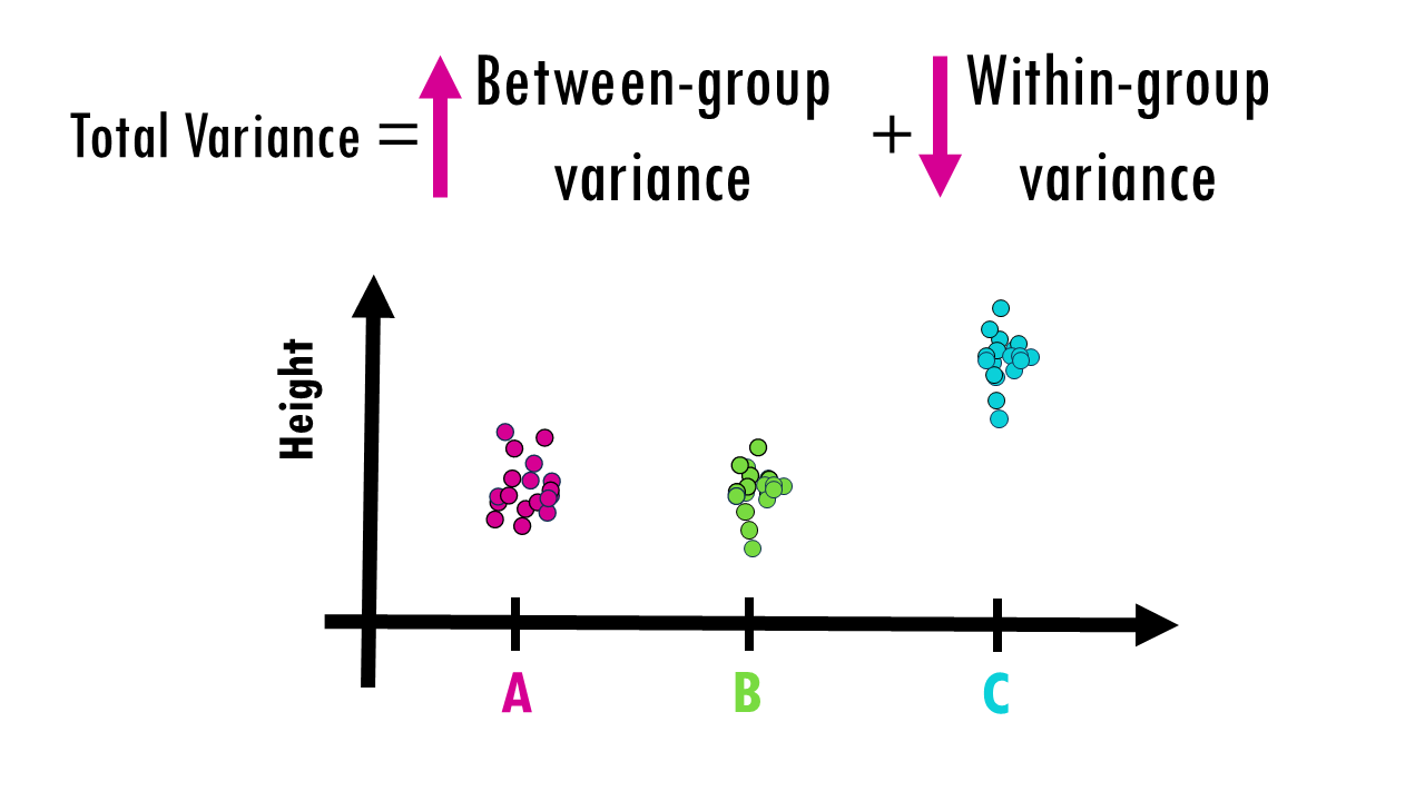Slide24