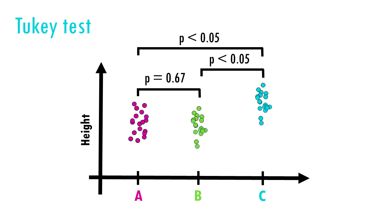 Slide51
