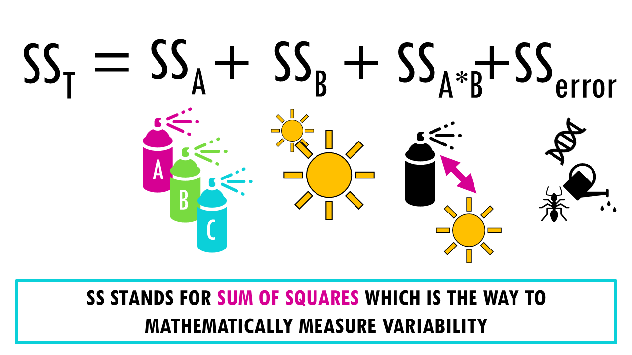 Slide65