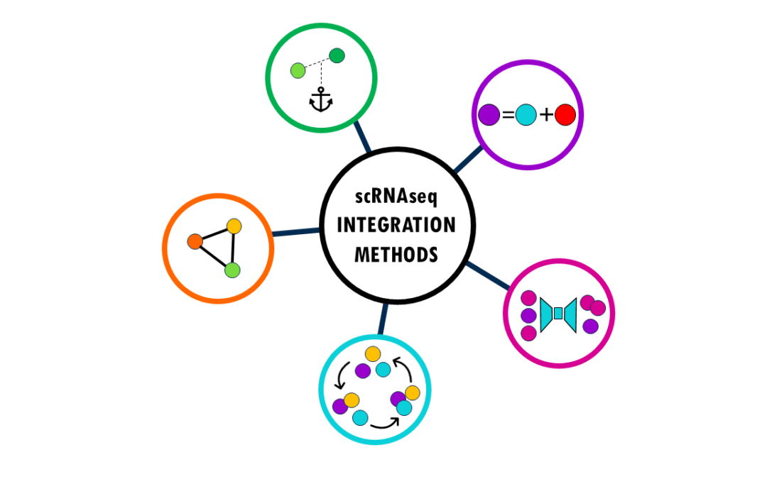 Integration methods in scRNAseq: easily explained!