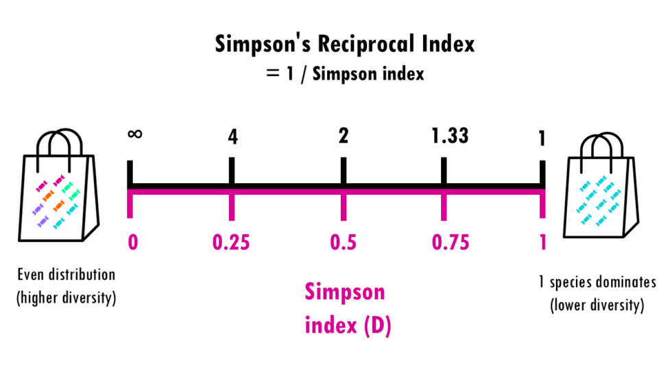 Diversity metrics simply explained: Shannon, Simpson, Chao1 ...
