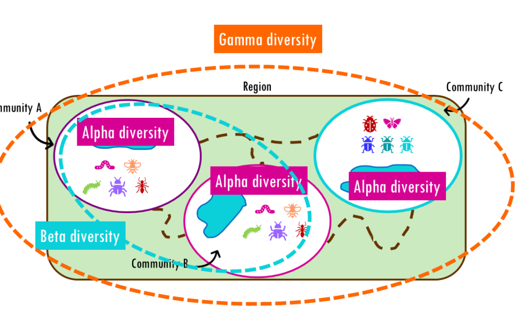 Beta diversity: Jaccard, Bray-Curtis, NMDS, PCoA and PERMANOVA